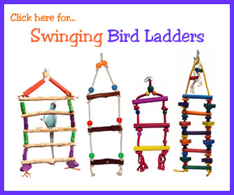 Swinging Parrot Rope Ladder