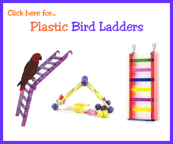 Plastic Cockatiel Ladder