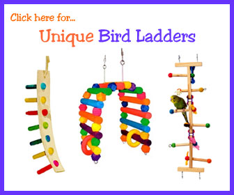 Unique Bird Ladders