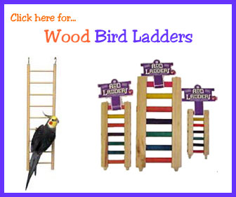 Wooden Parrot Ladders