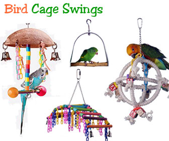 Bird Swings