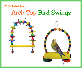 Swings for Birds