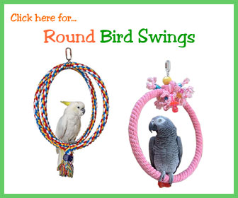 Swings for Parrots