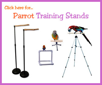Bird Training Stands