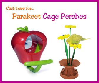 Parakeet Bird Perch